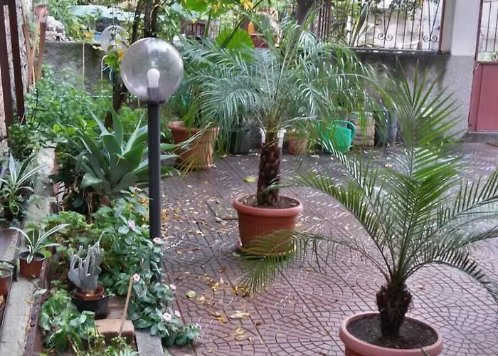 戴夫住宿加早餐旅馆 住宿加早餐酒店